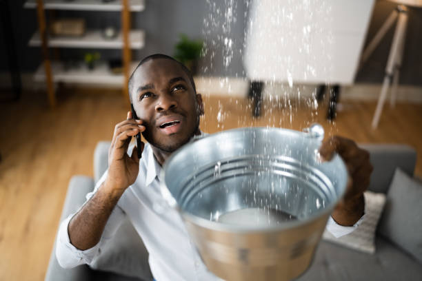 Best Water damage restoration near me  in Weston, OH