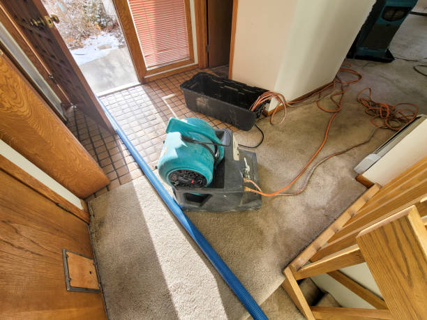 Best Water damage repair service  in Weston, OH